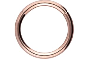 PIERCINGLINE Segmentring Clicker aus Titan - Piercing für Nase, Septum, Ohr, Helix oder Tragus