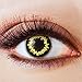 Produktbild Farbige Kontaktlinsen Schwarz Ohne Stärke mit Motiv Schwarze Fun Linsen für Halloween Karneval Party Fasching Cosplay Kostüm Gelb Werewolf Wolf