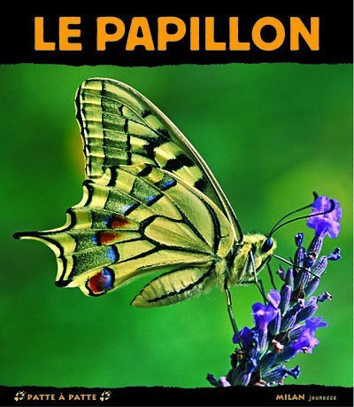 Le papillon francais Le papillon francais