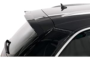 RDX RACEDESIGN Becquet de toit compatible avec Audi Q7 (4L) 2006-2015 (PUR-IHS), Noir