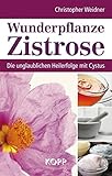 Wunderpflanze Zistrose: Die unglaublichen Heilerfolge mit Cystus