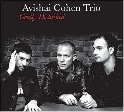 Avishai Cohen Trio Gently Disturbed