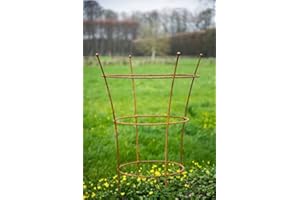 KUHEIGA Stabiler Staudenhalter Rost H: 80cm, Volleisen Strauchhalter, Rankgerüst,