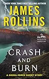 Cover zum Buch Crash and Burn