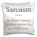 Produktbild 3dRose PC 173338 _ 1 Sarcasm Noun die Köpfe Verteidigung gegen die Weniger Intelligente Kissen Fall, 40,6 x 40,6 cm