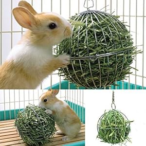 bureze Feed verzichten Ball Hamster Kaninchen Meerschweinchen Sphere Pet Spielzeug