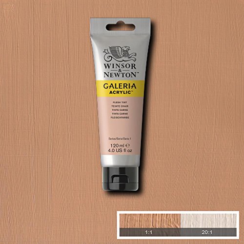 Winsor & Newton Galeria 120 ml Fleischfarben - 2