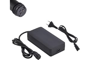 TNLi TEC Chargeur de vélo électrique 42 V 4 A - Remplace la fiche BMZ Rosenberger pour Focus Qwic Gazelle