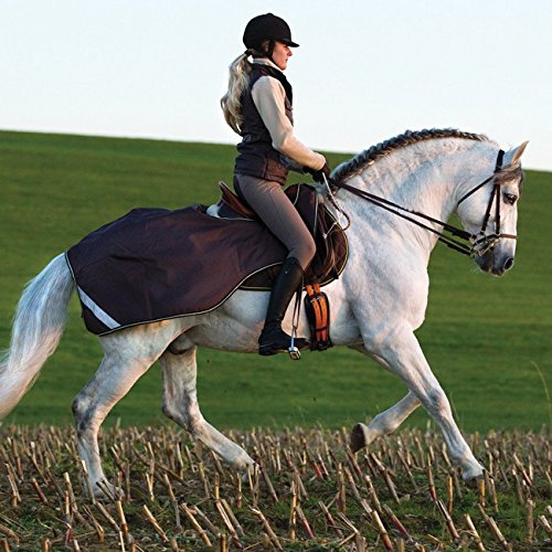 Preisvergleich Produktbild Horseware Amigo Competition Sheet - navy / white - Ausreitdecke wasserdicht / , Groesse:S