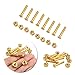 Produktbild Beautyrain 8pcs / lot Hardware Schrauben 29mm Goldmedaille Skateboard Longboard Bearing Schrauben Kit Sport tools