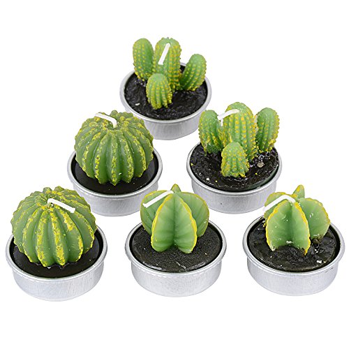 Lot-de-6-Cactus-Bougies-en-Paraffine-et-3-Formes-avec-Support-de-Bougie-Bougies-Chauffe-Plat-pour-Nol-Fte-Mariage-ou-Deco-Maison2pcs-par-Chaque-Forme