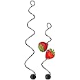 WMF Basic Fruit Skewers, 2 Pieces, Skewers in 2 Different Sizes, with Silicone Ball, Cromargan Stainless Steel, Dishwasher Safe