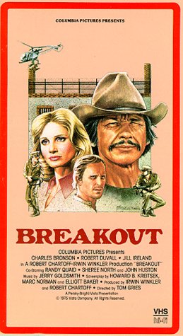 Preisvergleich Produktbild Breakout [VHS]