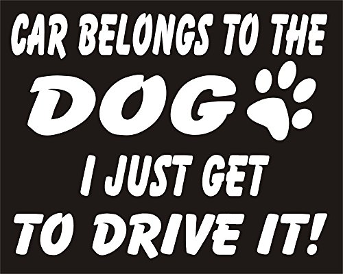 I'm Only Saying - Adhesivo para coche, diseño con texto en inglés "Car belongs to the DOG"
