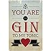Produktbild Vintage Sie befinden sich Gin Tonic To My Fun Retro-Metallwand-Blechschild Plaque Pub Bar