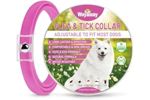 Woyamay Collare Antiparassitario per Cani, Naturale 8 Mesi di Protezione Collare Antipulci Cane, Regolabile Resistente All'acqua 65cm Collari Antiparassitari per Cani Per Tutte Le Taglie, Rosa