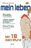 Cover zum Buch Mit 18 mein Sturz: Mein Leben im Gefä...