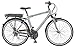 Produktbild Prophete Herren E-Bike Navigator 2.1 24-G Acera, Platingrau/Matt, 52 cm, 51525-0111