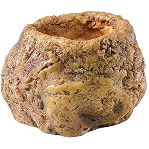 Exo Terra Schlangen-Schale