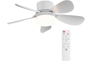 AIHONKON Socket Breeze Socket Ventilator Licht mit Fernbedienung, tragbare kleine Deckenventilatoren mit Lichtern für Schlafzimmer, Küche, Wohnzimmer, mit Dimmfunktion, 1000 Lumen, Schrauben in E27