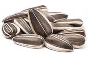 Sementi Dotto Bonus Semi di Girasole Striato Medio 10 kg