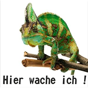 Reptilienaufkleber Hier wache ich Chamäleon