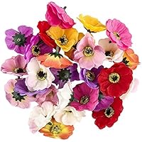 Ideen mit Herz Deko-Blüten, Kunstblumen, Blüten-Köpfe, Verschiedene Sorten, ca. Ø 4-5 cm (Anemone - bunt - 27 Stück)