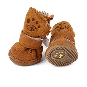 Scarpe per cani Chihuahua