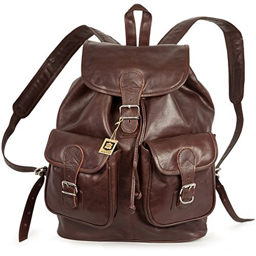 Großer Lederrucksack Größe L / Laptop Rucksack bis 15,6 Zoll, für Damen und Herren, aus geöltem Leder, Kastanien-Braun, Hamosons 560