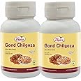 Health Choice Gond Chilgoza | A Natural Raw Herbs, With The Goodness Of Chilgoze | Chilgoja | Made With Dry Fruit (Pine Nuts) Botanical Gum, 60G - Pack of 2 (Pine Nut Gum)