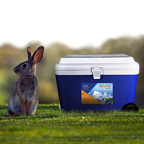 AVOIN colorlife 53QT, ohne Strom, 5-Tage Kühlbox, Kühltasche, Gefriertasche 50L - 5