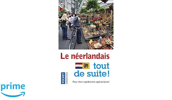 Le Neerlandais Tout De Suite Amazon Co Uk Michel Demonceau