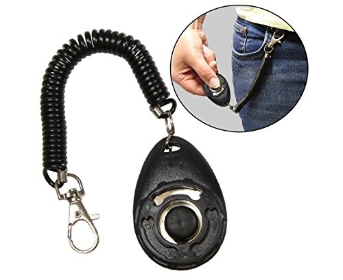 Clicker-Dog-Training-For-training-of-your-4-legged-friend