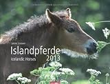 Islandpferde 2013 / Icelandic Horses 2013 / Íslenkir Hestar 2013 by