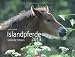 Islandpferde 2013 / Icelandic Horses 2013 / Íslenkir Hestar 2013 by