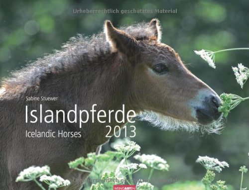 Islandpferde 2013 / Icelandic Horses 2013 / Íslenkir Hestar 2013