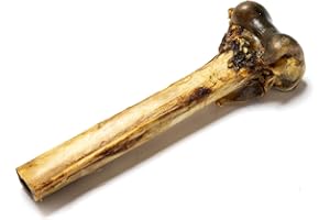 NATURAL TREATS BY PET TREATS WHOLESALE Natural Treats Ostrich Metatarsus Bones (1pc) for Dogs Hypoallergenic Long Lasting Dental Chew Treats