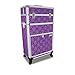 Roo Beauty Tanzania Beauty Trolley Hairdressing Case, Manicure And Nail Case In Imperial Purple