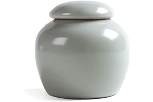 HanryDong Mini Pet urn, Small Ceramic Ash Funeral Burial Box, Cremation Keepsake for Small Animals, Bird, Reptile, Rabbit, Hamster, Galesasur, Forever Memorials(Blue, Green, Cyan)