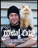 Image de Metal Cats