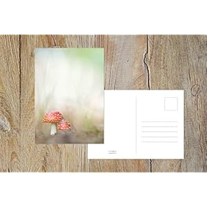 Fotografie Postkarte