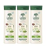 L'arbre vert Shampooing Détox pour Cheveux Gras 250 ml - Lot de 3