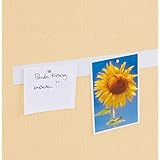 Maul 6211002 Ferroband selbstklebend