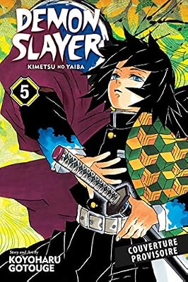Demon Slayer T05
