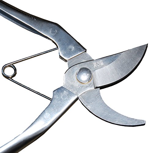 Edelstahl Geflügelschere mit Feder - 3