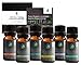 Produktbild Aromatherapie ätherische Öle, Geschenkset - 100% reine ätherische Öle für Diffusoren, Bergamotte, Lavendel, Teebaum, Eukalyptus, Süßorange, Pfefferminz, Rezeptbuch enthalten.