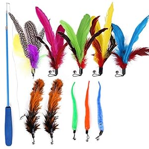 Weehey Juguete de Plumas de Gato Juguete de Juguete Interactivo con Pluma Juguete retráctil para Gato Varita 11 PCS