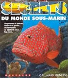 Image de Secrets du monde sous-marin