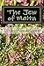 The Jew of Malta by