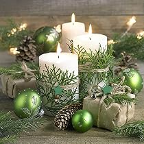 20 Weihnachtsservietten Mit Teddy & Tannengrün – 33x33 Cm, 3-lagig, Chlorfrei & Biologisch Abbaubar
